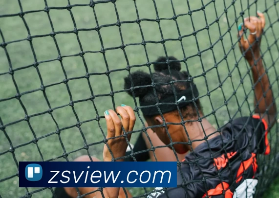 钻石娱乐官网平台生态图